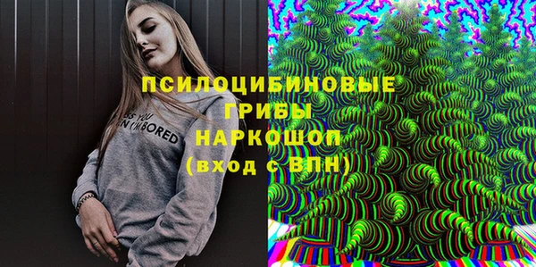 прущие грибы Алексин