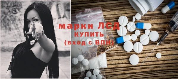 прущие грибы Алексин