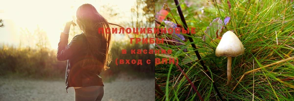 прущие грибы Алексин